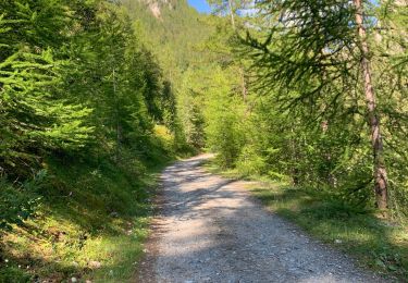 Trail Walking Champcella - Col de Tramouillon - Photo