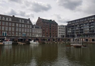 Trail Walking Maastricht - Maastricht - Hoge Fronten & 't Bassin - Photo