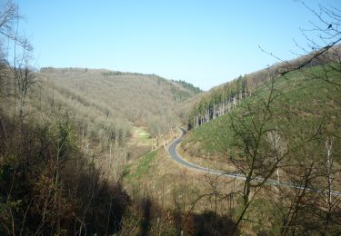 Tour Wandern Pütscheid - AP Gralingen - Photo