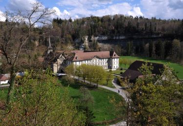 Trail On foot Hauterive (FR) - Circuit Hauterive - Photo