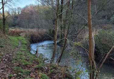 Tocht Stappen Montrevault-sur-Èvre - le moulin du GOUAS    ST Pierre Montlimart - Photo