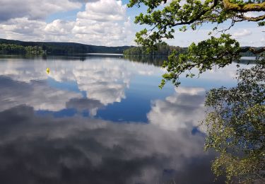 Tour Nordic Walking Moux-en-Morvan - Settons - Photo