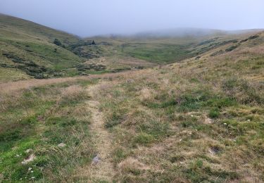Trail Walking Murat - Murat -->Le Lioran  - Photo