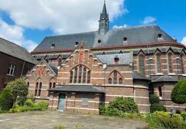Trail Walking Hamont-Achel - de-groote-heide-warmbeek-startplaats-achelse-kluis-groen - Photo