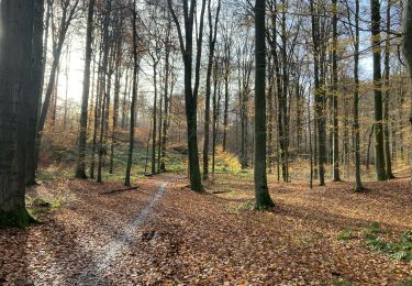 Trail Mountain bike Uccle - Ukkel - Château de La Hulpe - Photo