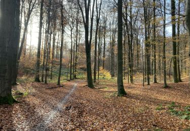 Percorso Mountainbike Uccle - Ukkel - Château de La Hulpe - Photo