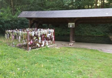 Trail Walking Livarot-Pays-d'Auge - La Croupte - Photo