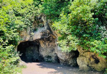 Excursión A pie Jemeppe-sur-Sambre - Cirkwi-Sur_les_traces_de_l_Homme_de_Spy_-_tour_complet - Photo