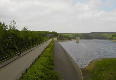 Tocht Te voet Stolberg - Schevenhütte Rundweg 3 - Photo