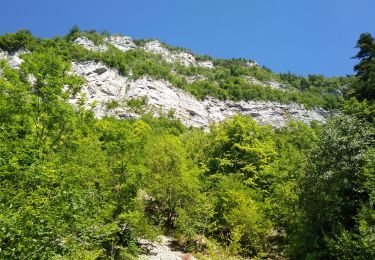 Trail Walking Saint-Joseph-de-Rivière - Boucle SAINT JOSEPH XE RIVIÈRE - Photo