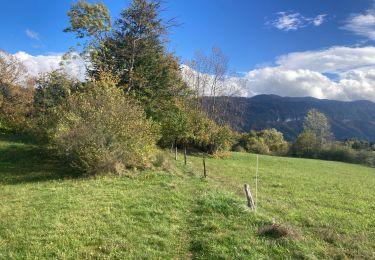 Trail Hybrid bike Saint-Martin-en-Vercors - Saint Martin en Vercors  - Photo
