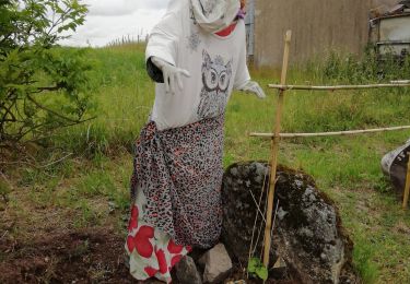 Tocht Stappen Boussay - boussay - Photo