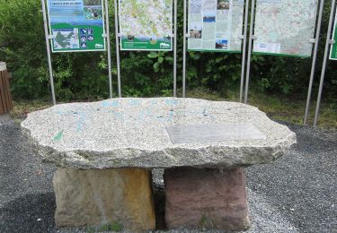 Randonnée A pied Kasendorf - Verbindungsweg Lindenberg - Katschenreuth - Photo