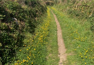 Trail Walking Plouguerneau - Wrach - Photo