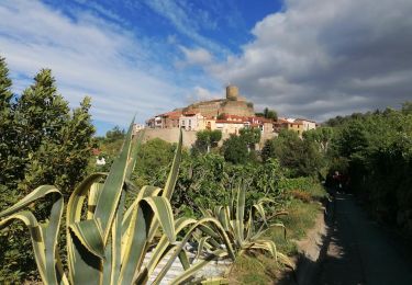 Tocht Stappen Laroque-des-Albères - La Roque des Alberes, randonnée et botanique - Photo