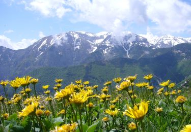 Tour Zu Fuß Guardiagrele - Bocca di Valle - Rifugio Pomilio - Photo