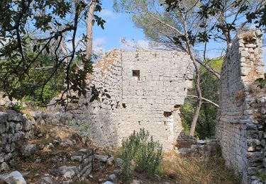 Trail Walking Roquefort-les-Pins - ROQUEFORT LES PINS - Photo