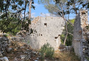 Excursión Senderismo Roquefort-les-Pins - ROQUEFORT LES PINS - Photo