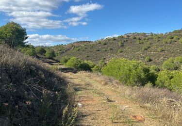 Trail sport Odeleite - Terras da Ordem - Photo