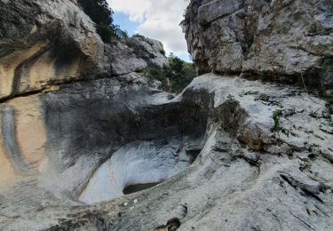 Trail Walking Auriol - le ravin des Encanaux - Photo