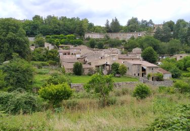 Trail Walking Saint-Vincent-de-Durfort - Promenade chien 2 - Photo