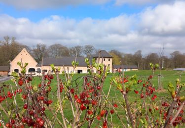 Tocht Stappen Incourt - #240318 - Piétrebais, Sart-Biez, Petit et Grand Haquedeau*** - Photo