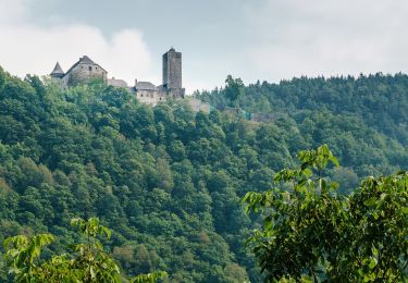 Tour Zu Fuß Waldkirchen am Wesen - 4/4-Blick-Runde - Photo