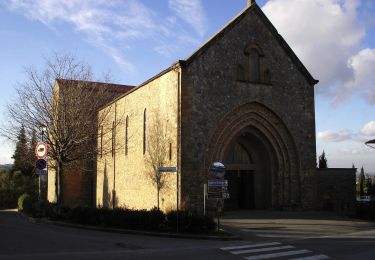 Percorso A piedi Gambassi Terme - Dolce campagna, antiche mura 15 - Photo