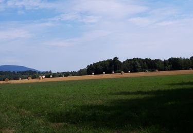 Randonnée Marche Guewenheim - Circuit de la Doller  - Photo