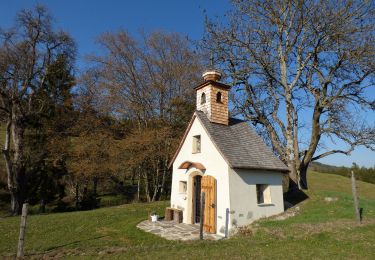 Excursión A pie Magdalensberg - Magdalensberg-Christofberg (Rundtour) - Photo