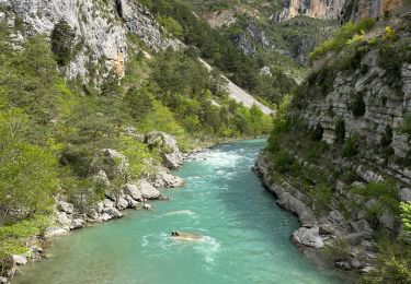 Trail Walking Trigance - Pont du Carajuan Rougon Pont du Tusset Belvédère de Rancoumas Trace réelle - Photo