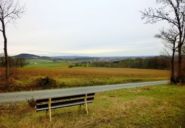 Trail On foot Hummeltal - Mistelbach Rundwanderweg 