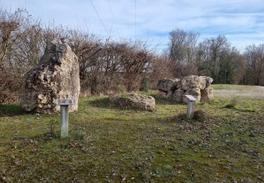 Percorso Marcia Marcilly-en-Beauce - Varennes - Photo