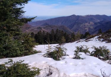 Excursión Raquetas de nieve Boutx - 2021-02-16  raquettes le mourtis - Photo