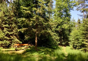 Percorso A piedi Tröstau - Vordorf Rundwanderweg Nr. 2 - Photo