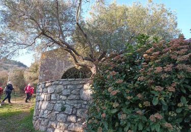 Percorso Marcia Roquebrune-sur-Argens - Les 25 ponts-Roquebrune sur Argens-28-01-22 - Photo