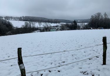 Percorso Marcia Saint-Hubert - St Hubert - La Borne - Photo