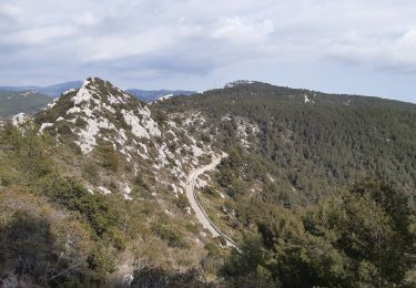 Trail Walking Sanary-sur-Mer - Sanary : La Pointe du Cerveau - Photo