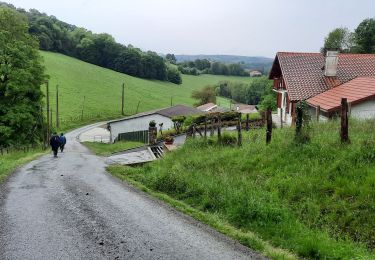 Trail Walking Charritte-de-Bas - 8 charritte - Photo
