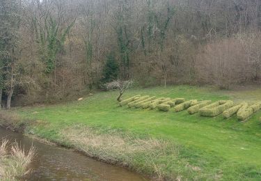 Tour Wandern Miremont - Miremont  - Photo