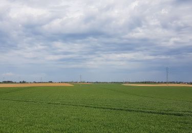 Trail Walking Liège - Rocourt - Ans - Alleur - Rocourt  - Photo