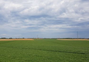 Tocht Stappen Luik - Rocourt - Ans - Alleur - Rocourt  - Photo