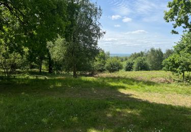 Trail Walking Haramont - 120522- - Photo