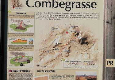Trail Walking Aydat - Es pinasse. Combegrasse  - Photo