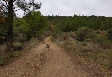 Trail Walking Manosque - 1Gaude via bellevue - Photo