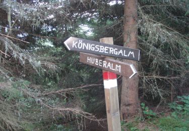 Tocht Te voet Dienten am Hochkönig - Sonnberg-Königsbergalm - Photo