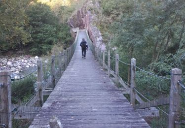 Trail Walking Saint-Sauveur-sur-Tinée - St Sauveur Tinee par Abeliera - Photo