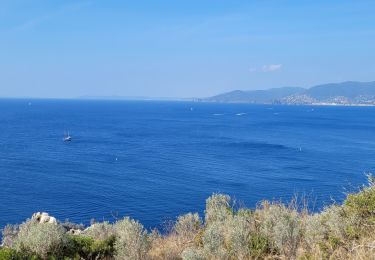 Randonnée Marche La Croix-Valmer - Le cap Lardier - Photo