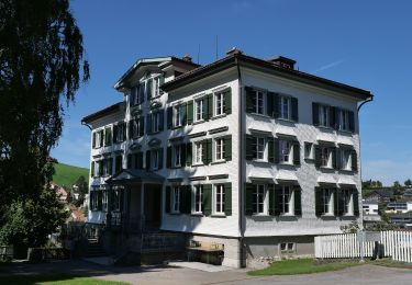 Percorso A piedi Speicher - Rund um Speicher - Photo