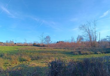 Trail Walking Theux - la reid . charmille . vertbuisson / retour en boucle - Photo